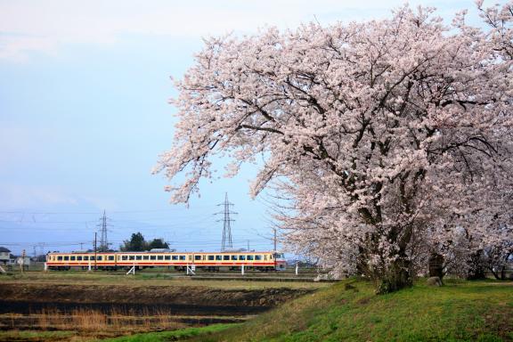 富山地方鉄道⑮