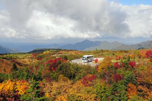 立山高原バスと七曲りの紅葉