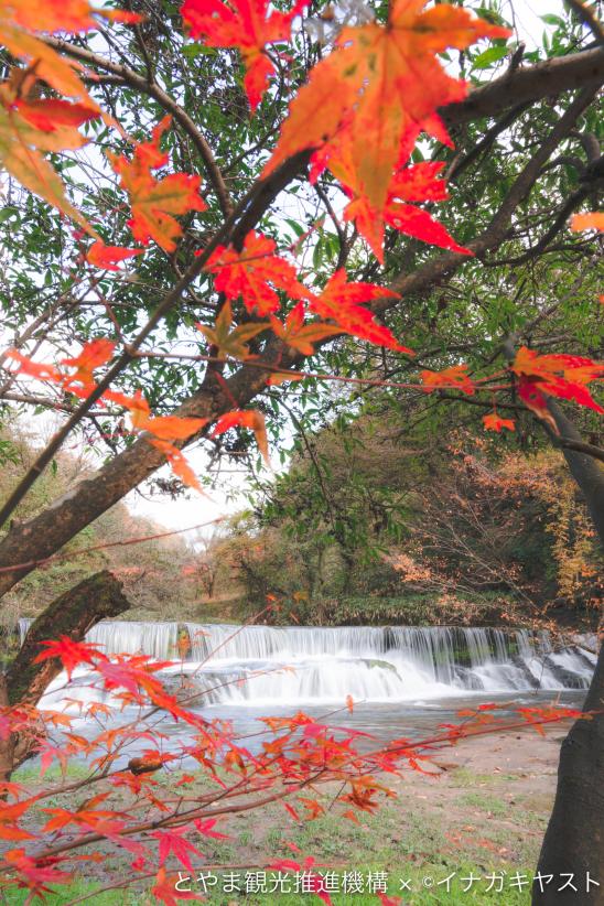 紅葉も美しい富山の滝