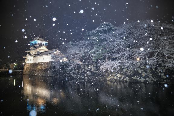雪が降る富山城