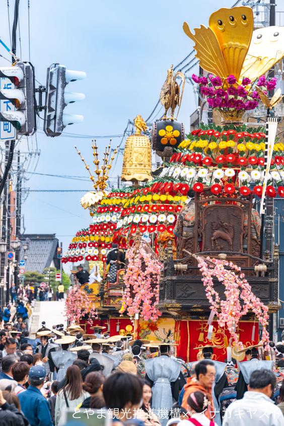 高岡御車山祭①