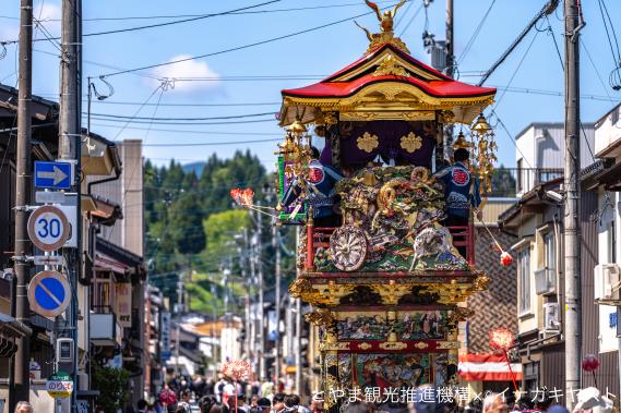 越中八尾曳山祭①（諏訪町 曳山)