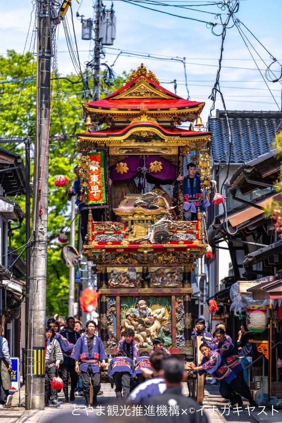 越中八尾曳山祭②（東町 曳山）