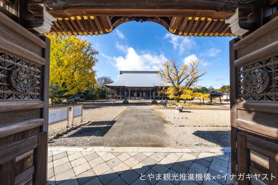 雲龍山 勝興寺①（唐門から見る本堂と黄葉）
