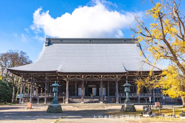 雲龍山 勝興寺②（本堂と黄葉）