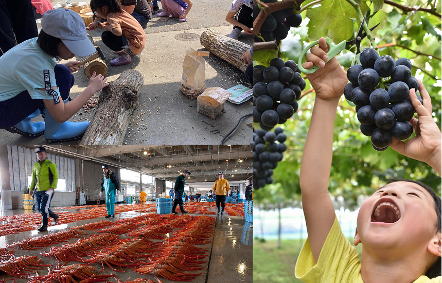 とやまってどんなとこ