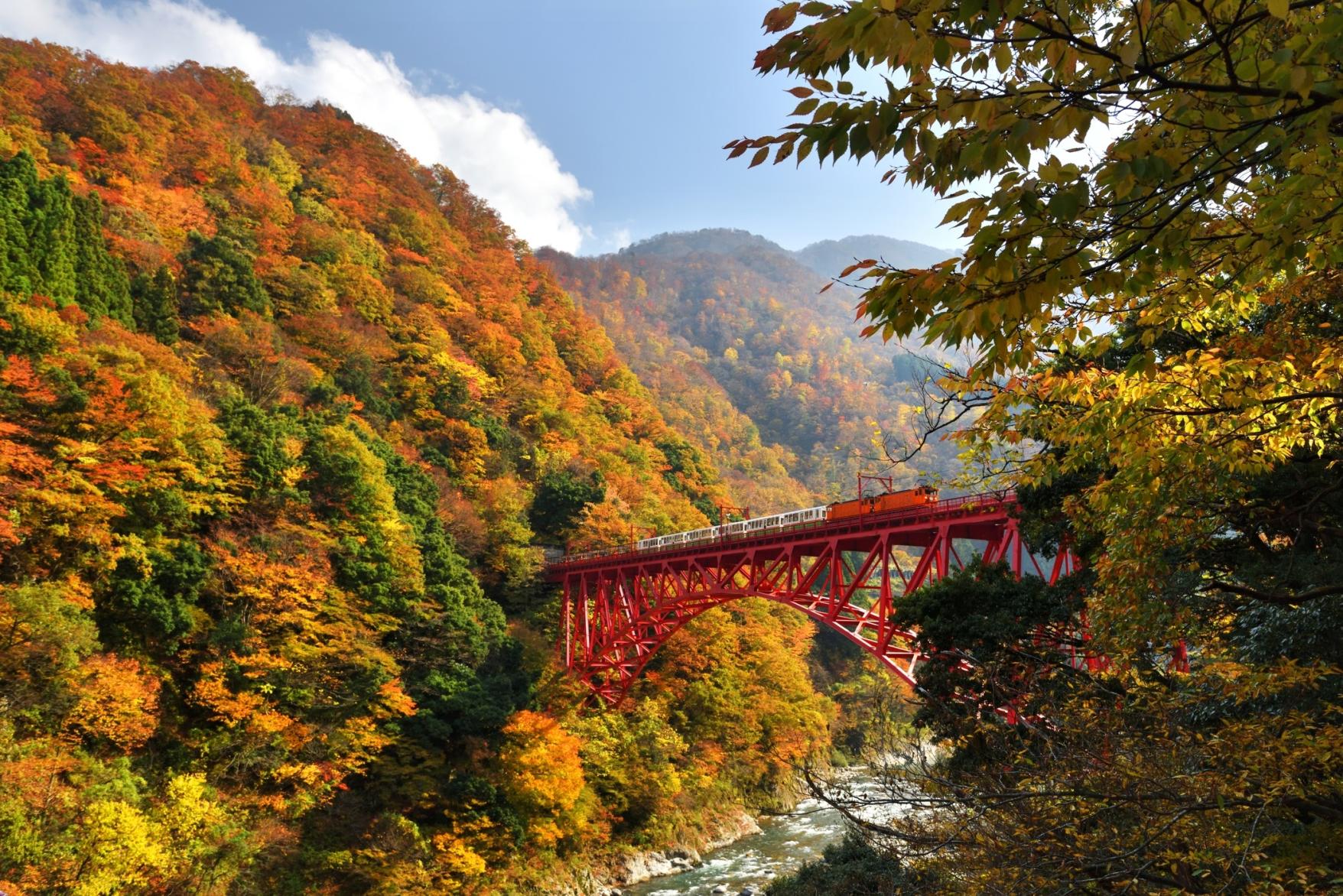 富山のおすすめ絶景紅葉スポット