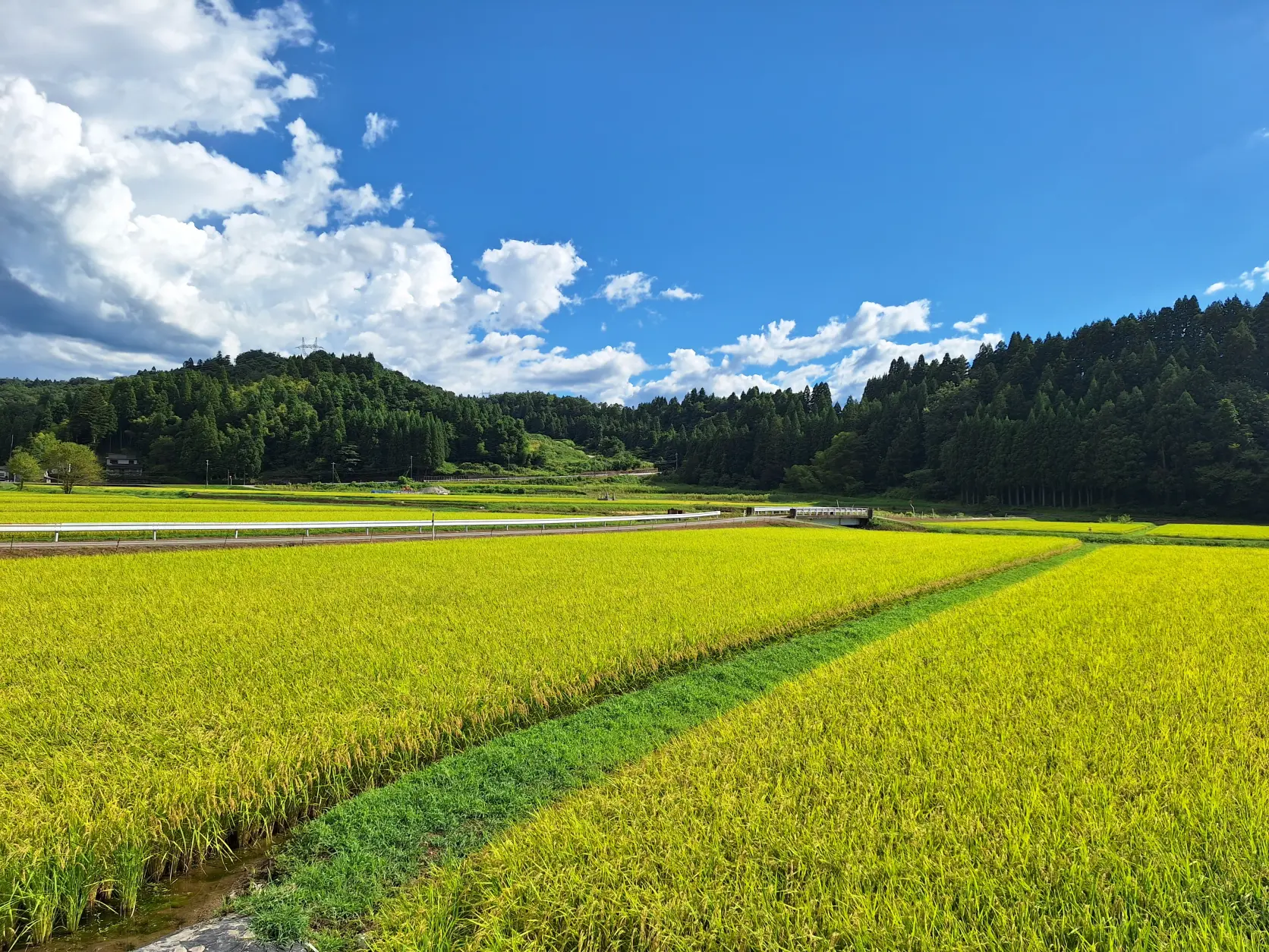 とやまの農山漁村を体験