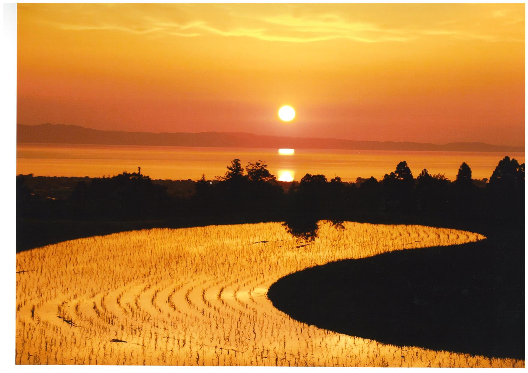 美しい風景があります