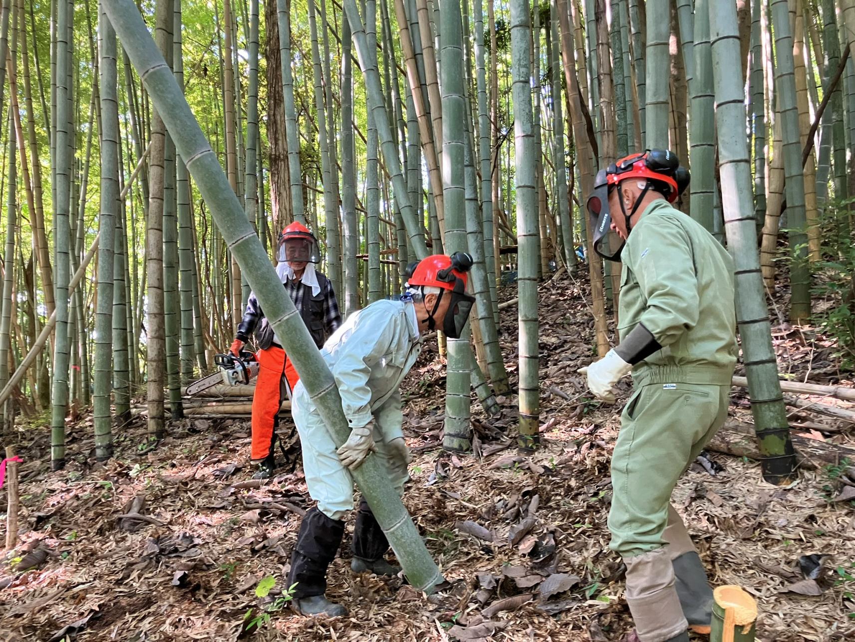 【2025年12月20日（土）開催】竹林整備ボランティア募集中