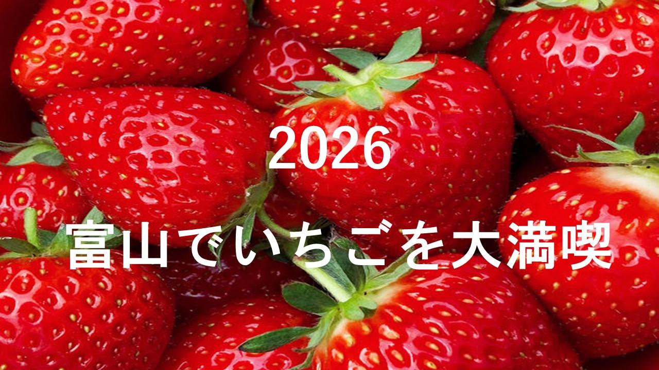 【いちごの旬到来】見て・体験して・食べて・知って、富山のいちごを大満喫