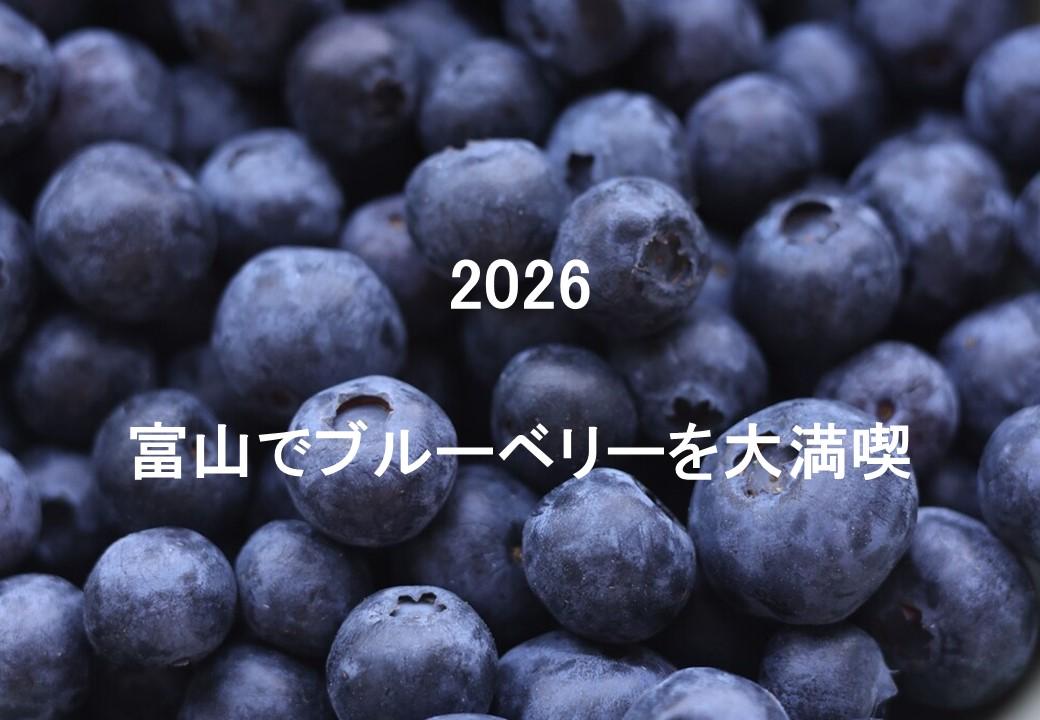 【ブルーベリーシーズン到来】富山でブルーベリーを楽しみつくそう！