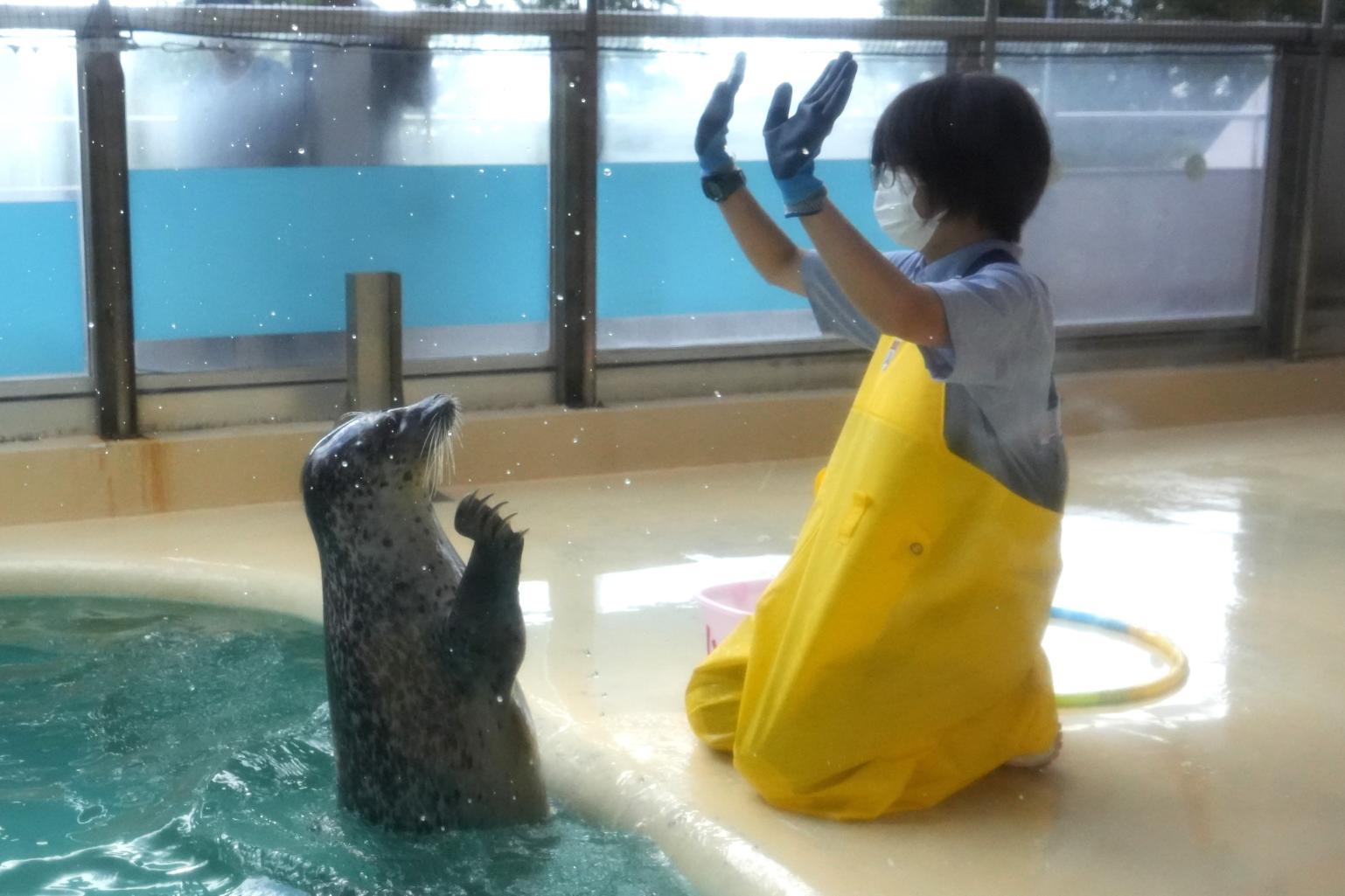 「魚津水族館」にも行ってみよう！-1