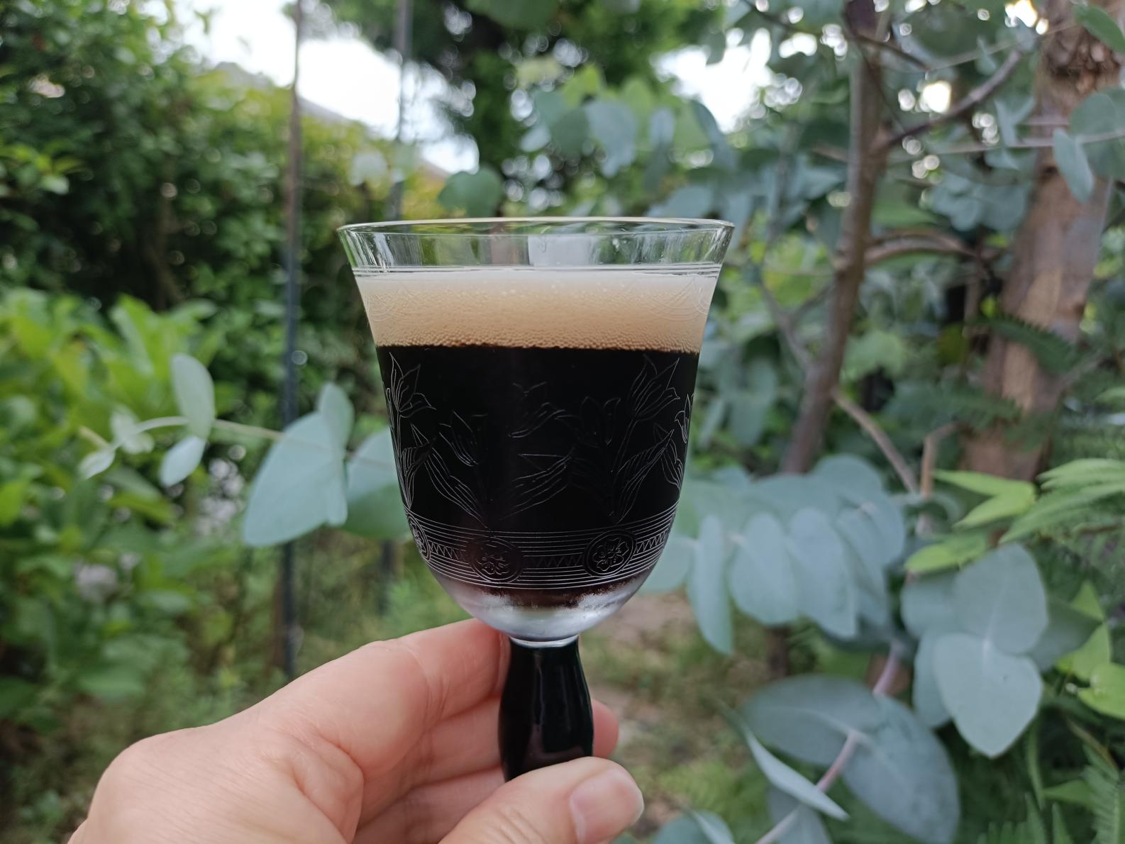 【富山ブラック】加賀棒茶の香ばしさを感じる黒ビール-1