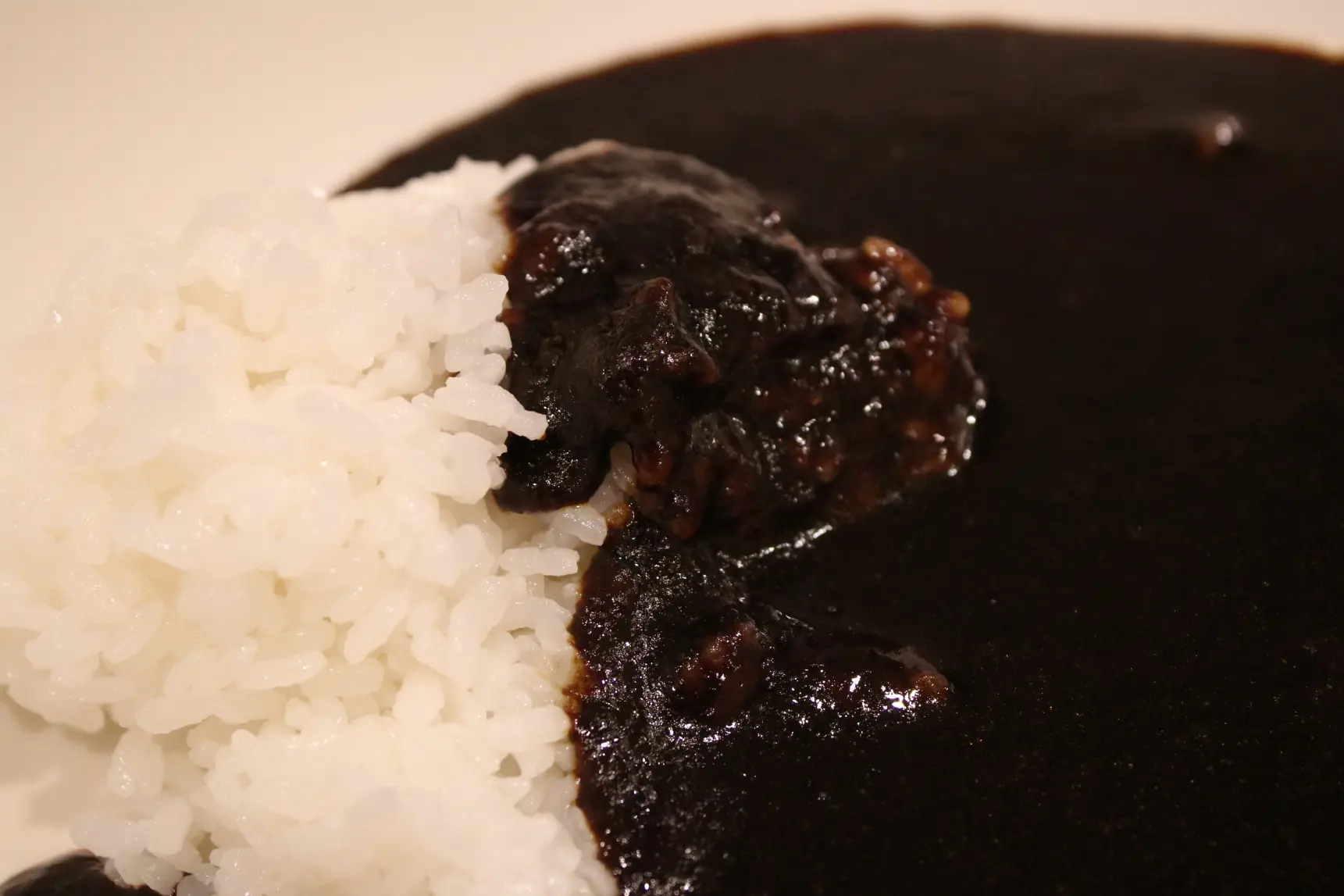 驚きのおいしさ！「富山ブラックカレー」-2