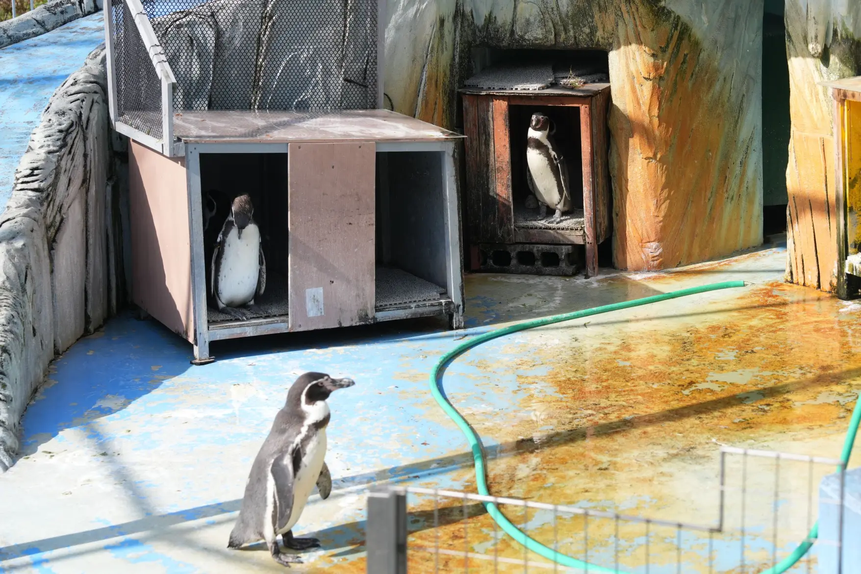 動物園は、入場無料！-3