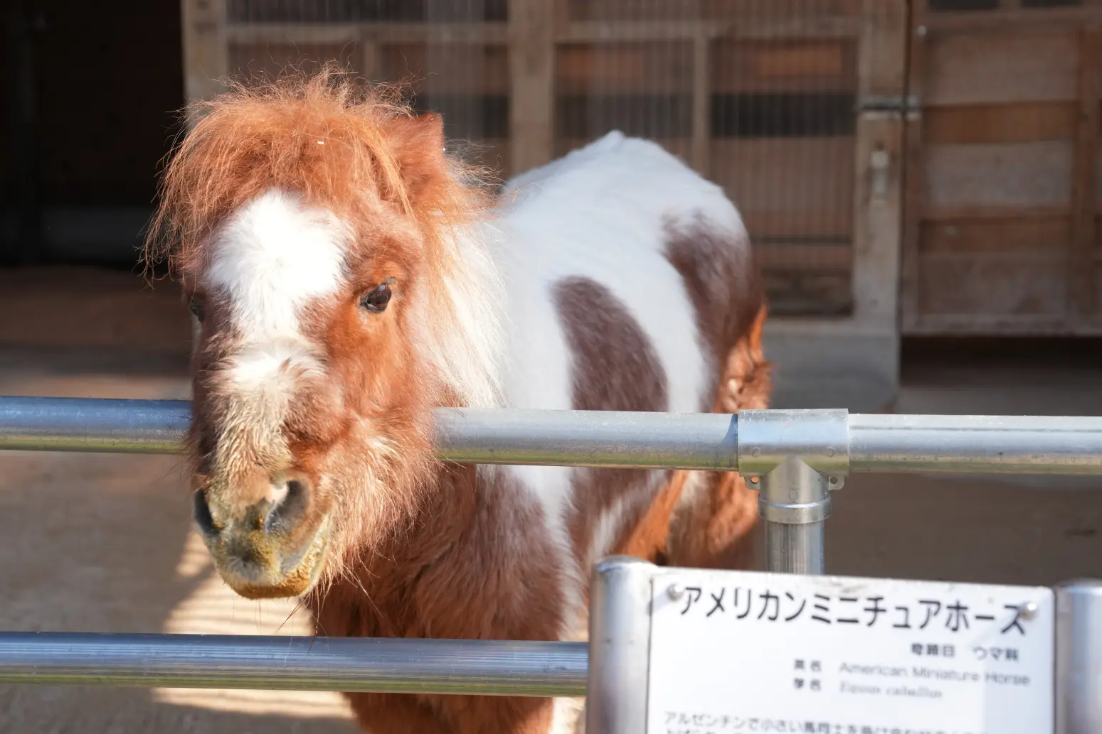 動物園は、入場無料！-2
