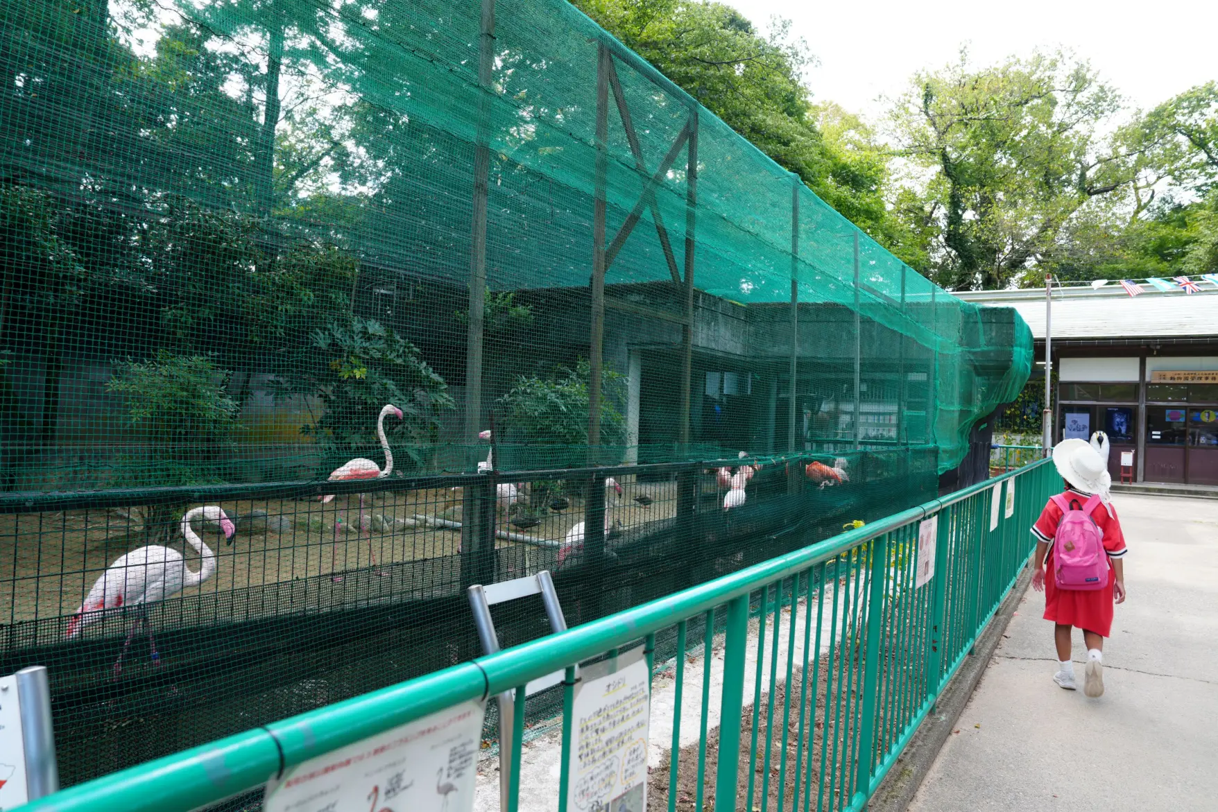 動物園は、入場無料！-0