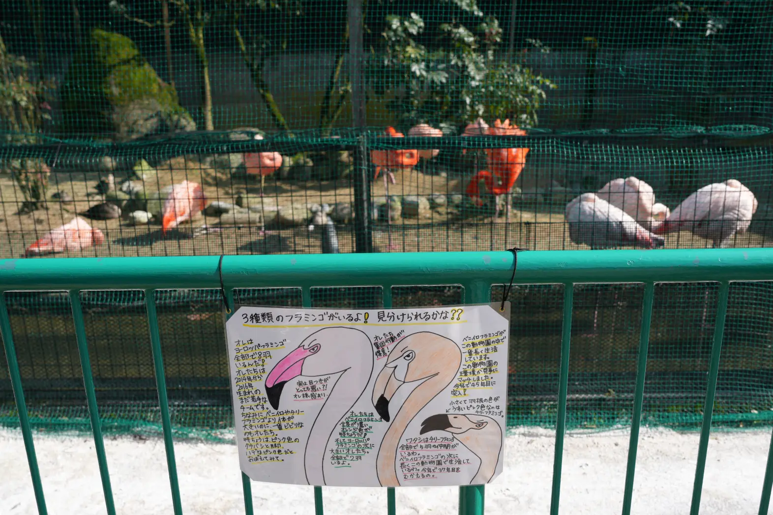 動物園は、入場無料！-1