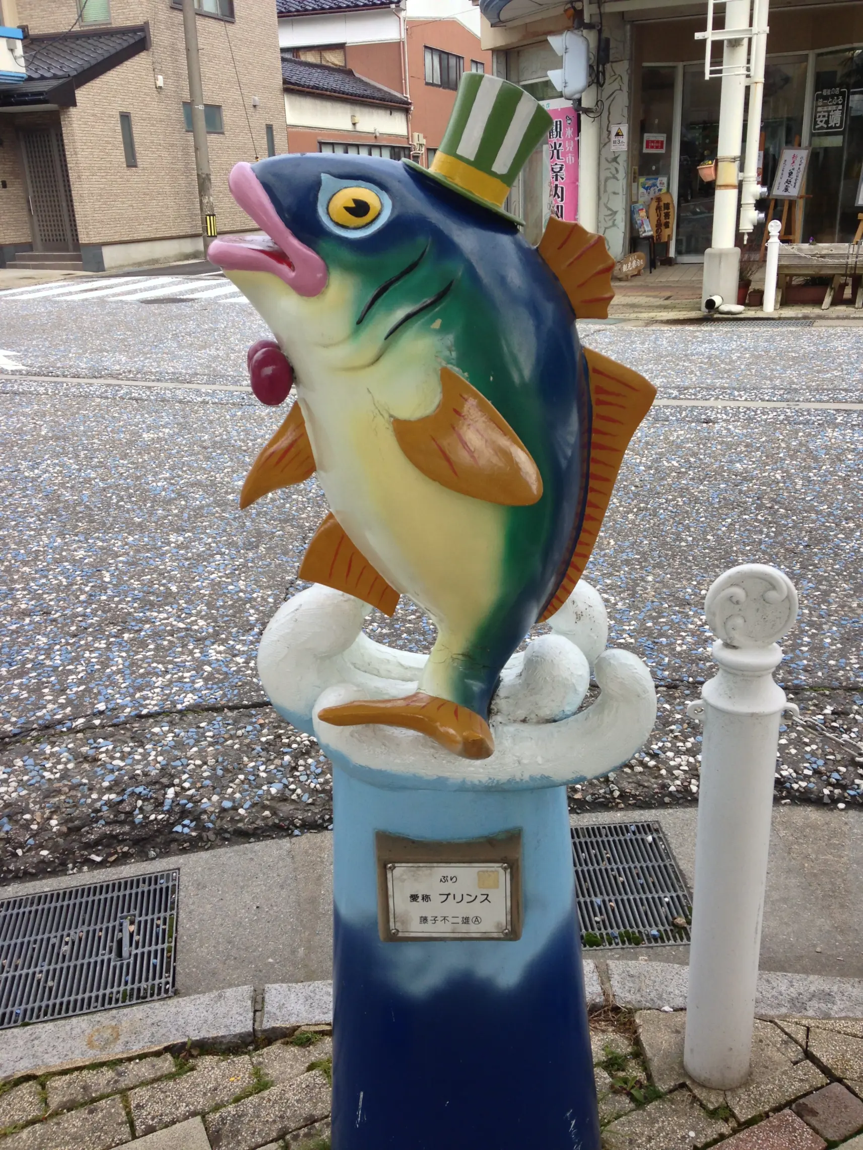 氷見のサカナ紳士録-0