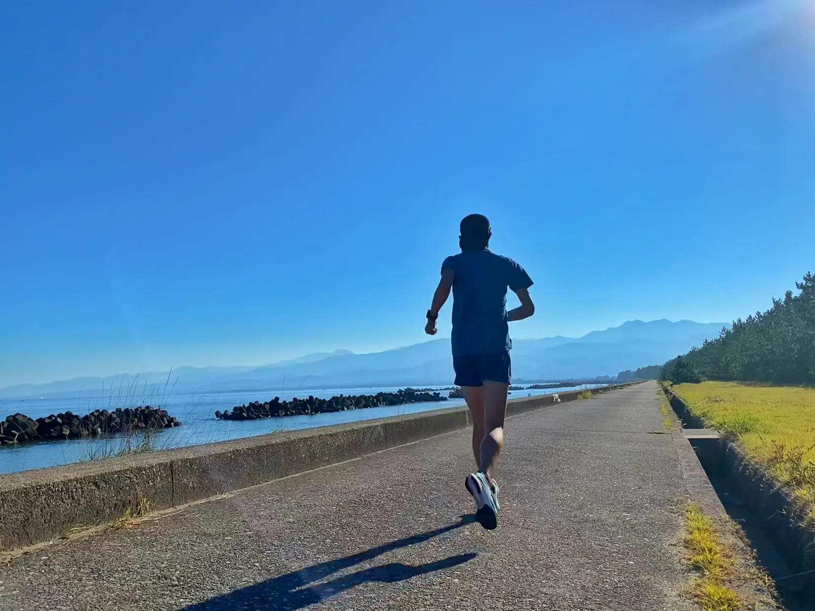 浜黒崎サイクリングロード（行程10.3km、高低差33m）-1