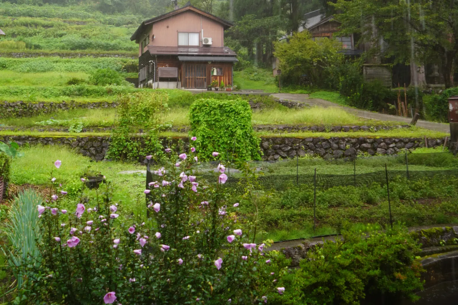子供たちは、合掌造りの民宿に興味津々！-2