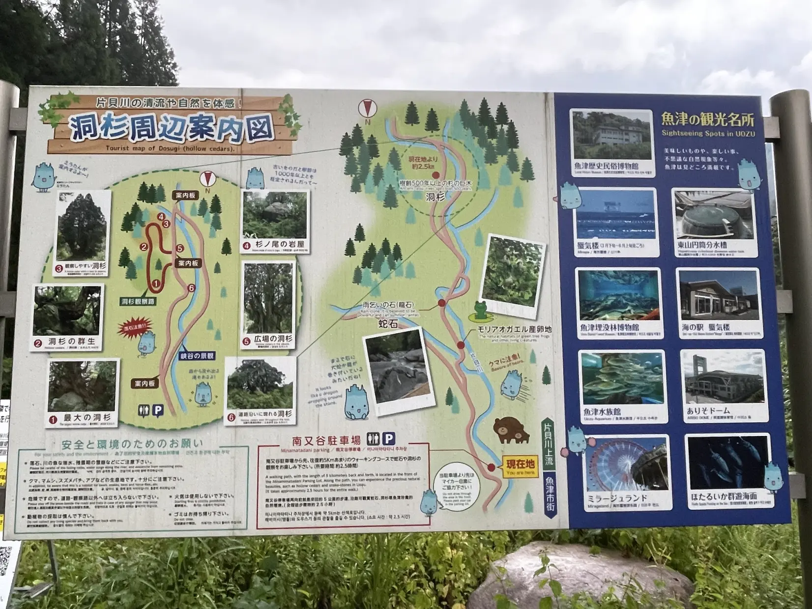 洞杉までの道のり-1