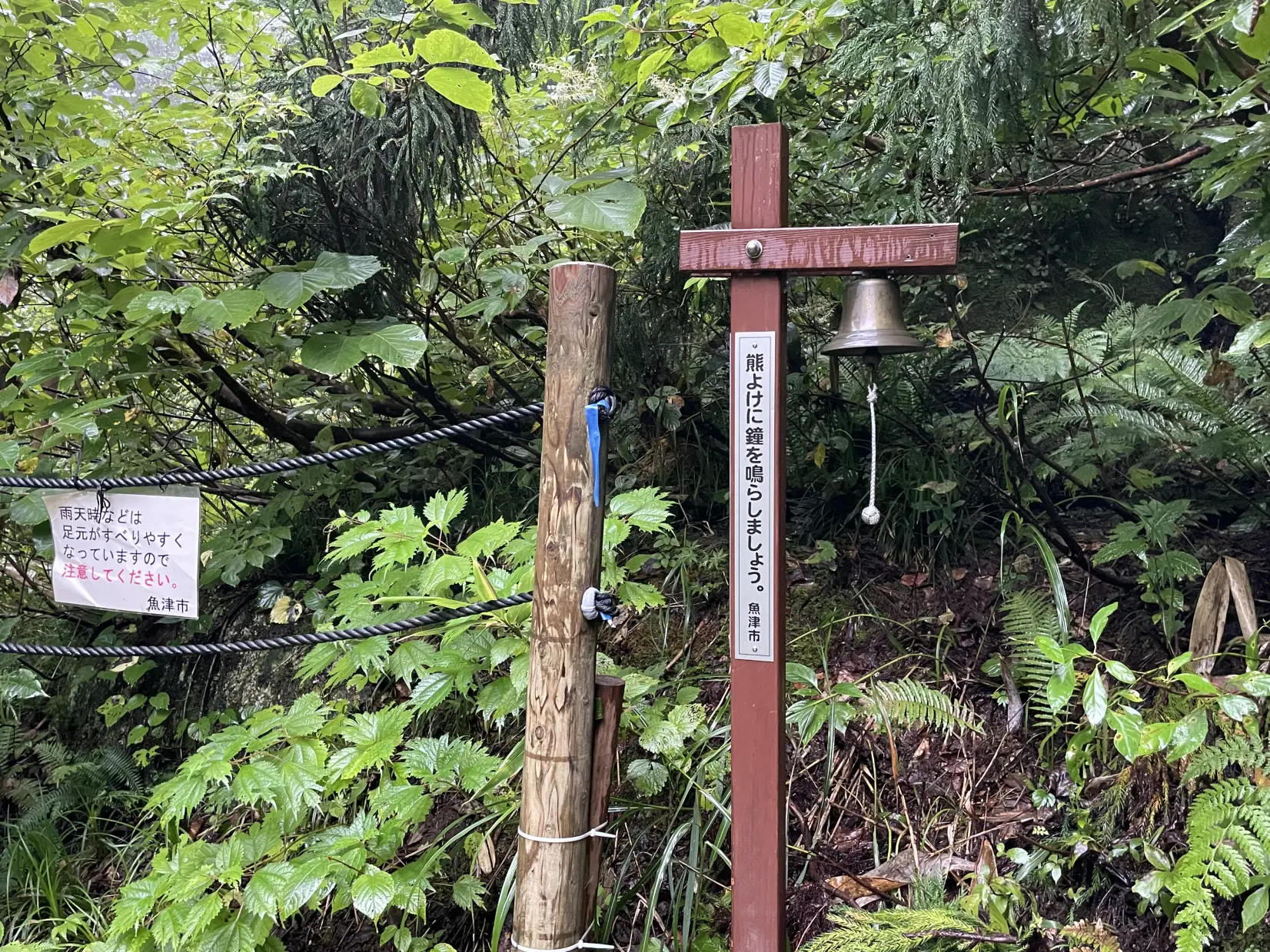 洞杉観察道へいざ突入！-1