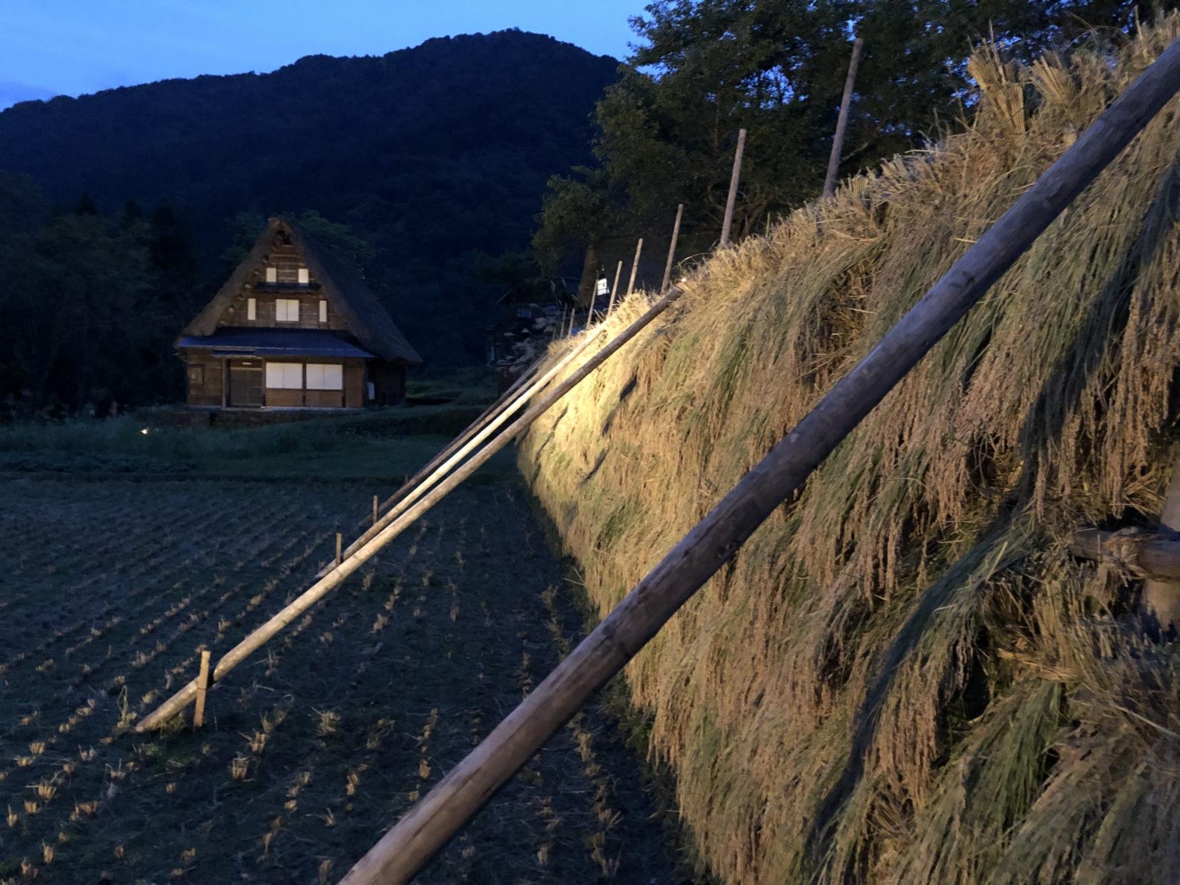 ９月ライトアップ『初秋の山里に浮かぶ日本の原風景』-5
