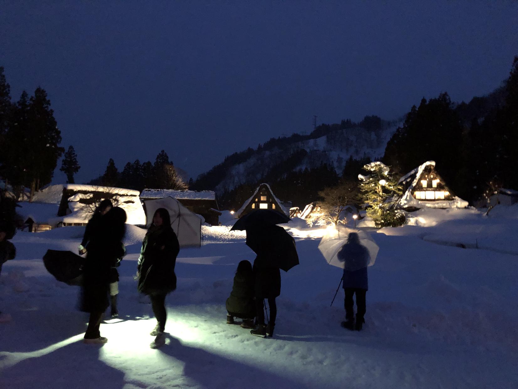 ２月ライトアップ『雪原に浮かぶ日本の原風景』-8