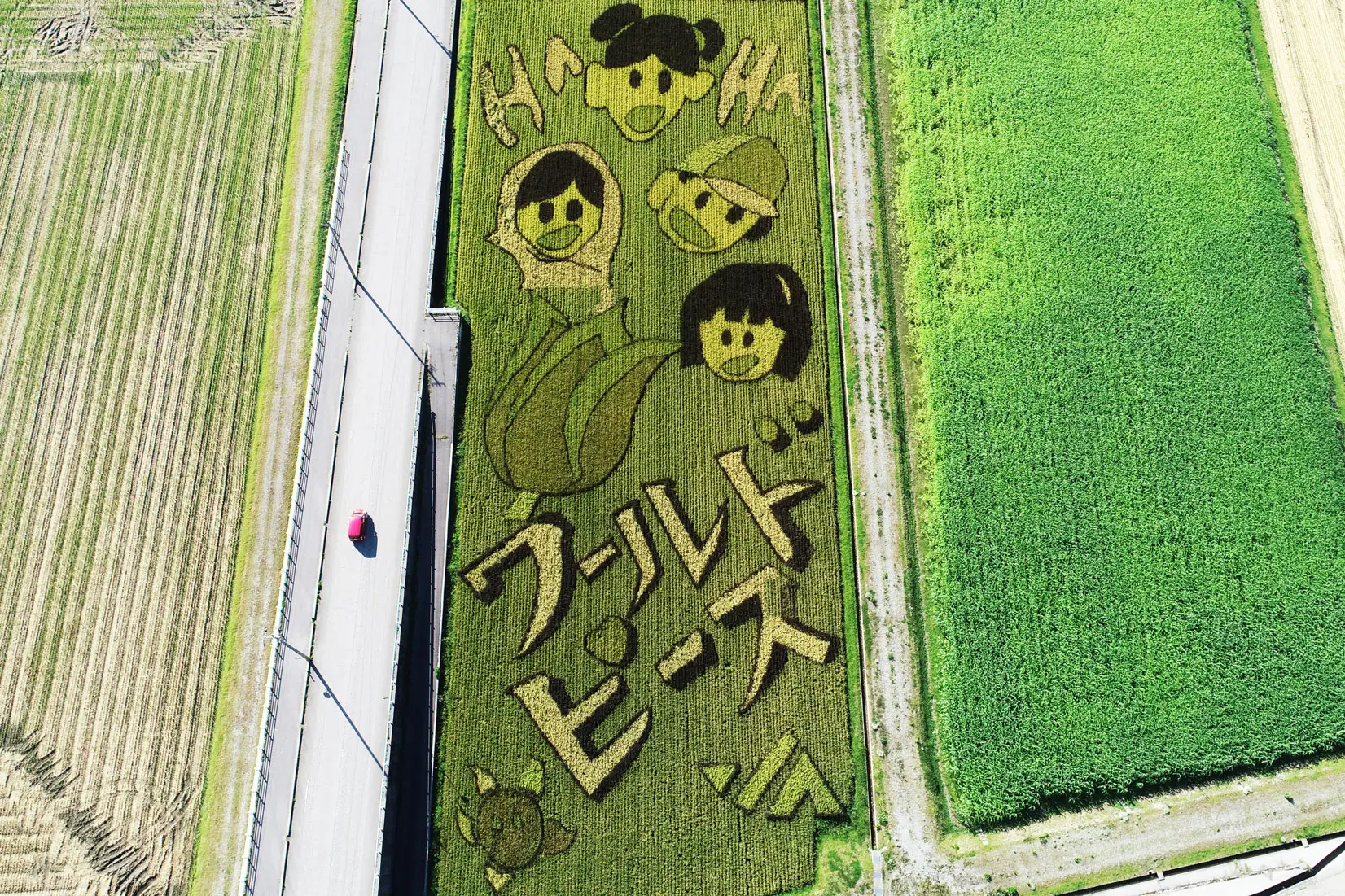 毎年変わる舟川べり田んぼアート！-0