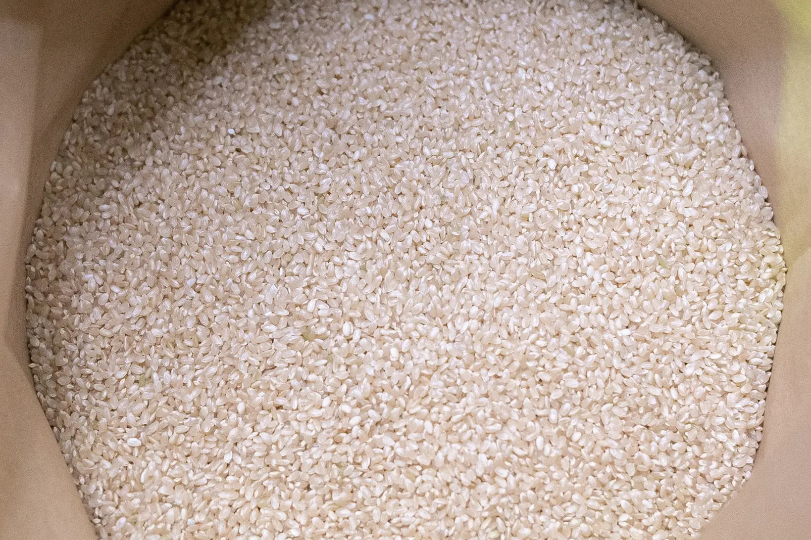 丁寧な出荷作業-0