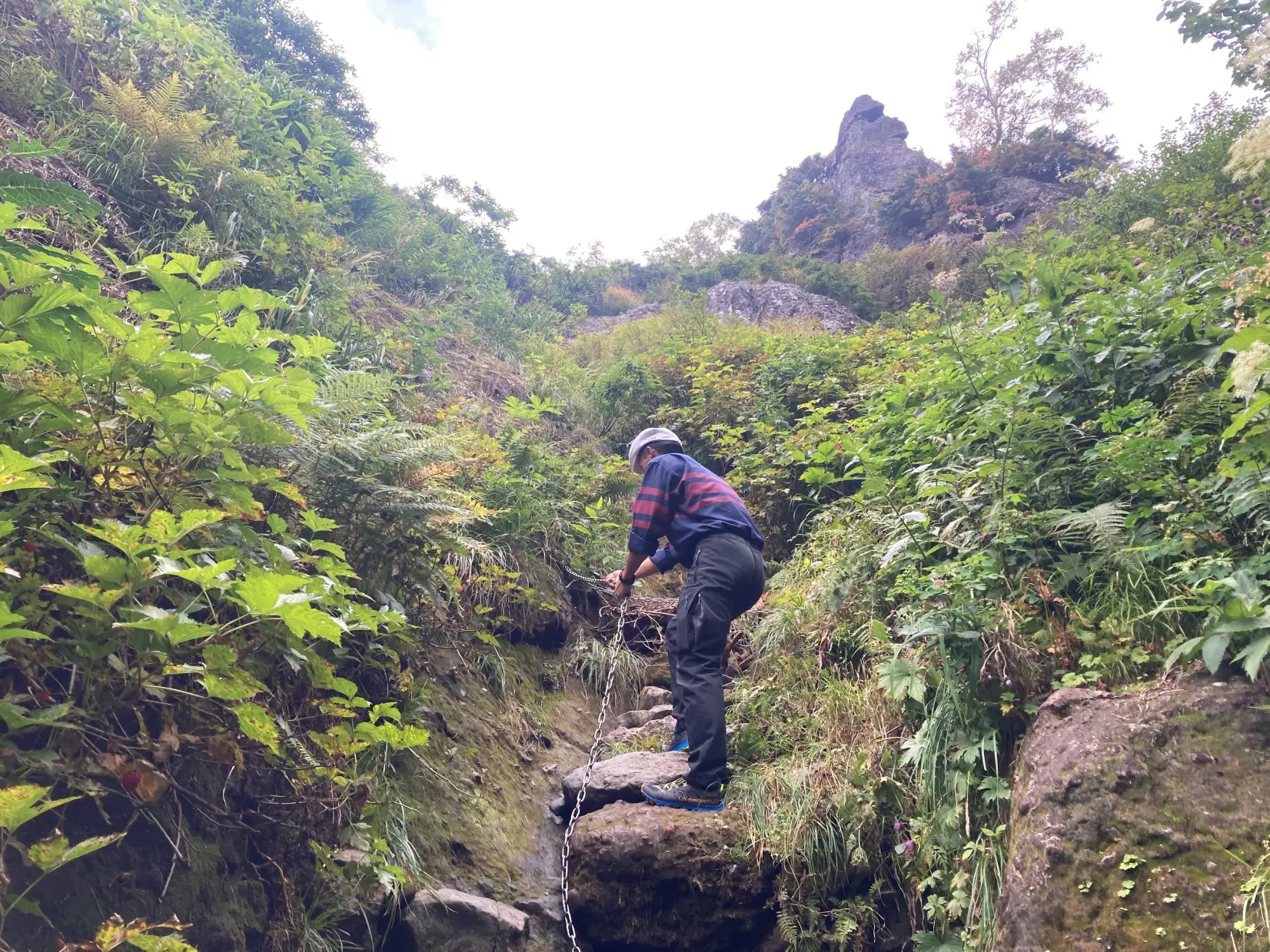 ３　天狗平に向かう登山ルート-1