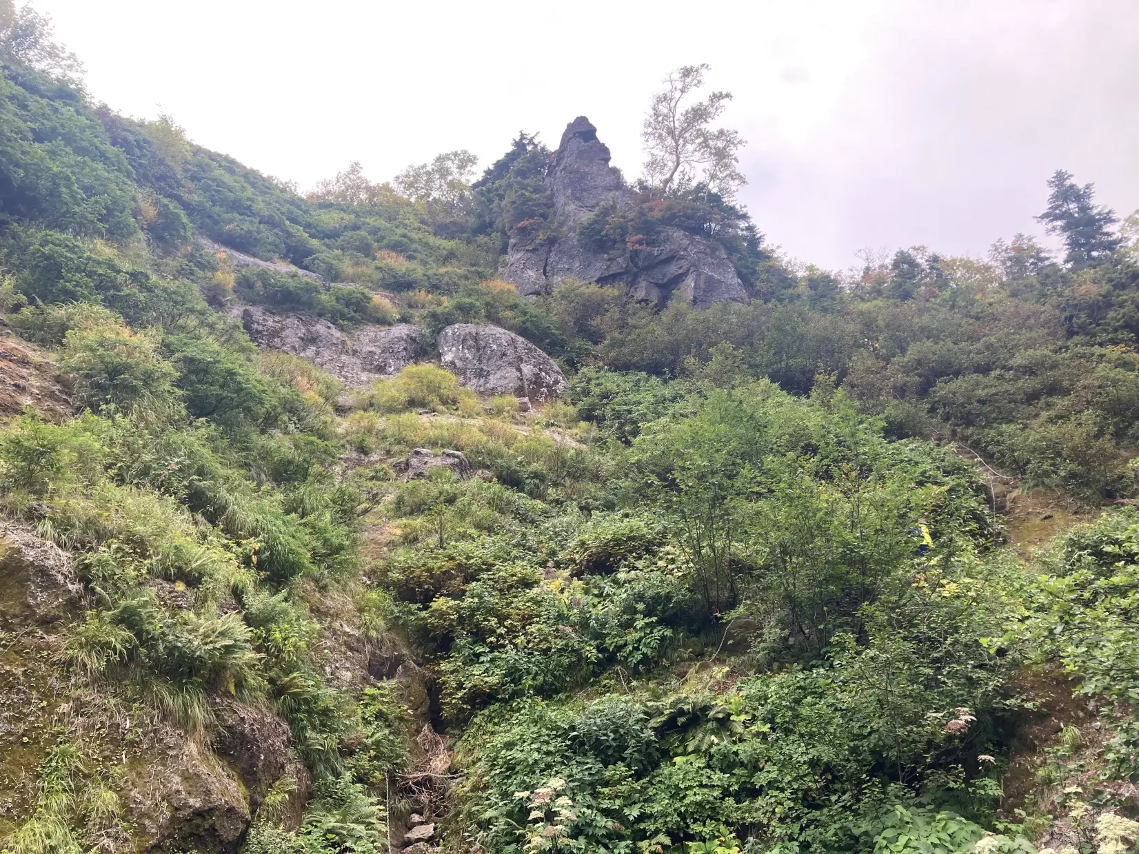 ３　天狗平に向かう登山ルート-2