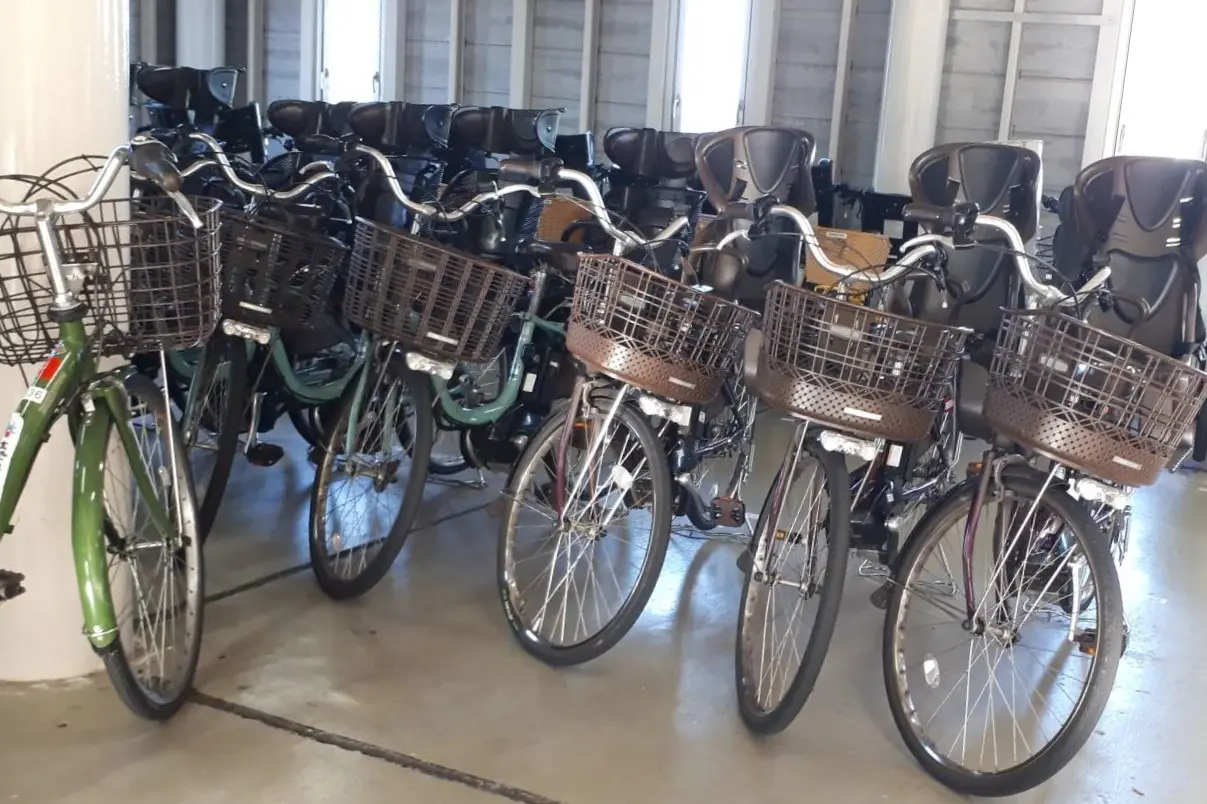 3、サイクリングをしながら、公園を散策！秋の「太閤山ランド」！-2