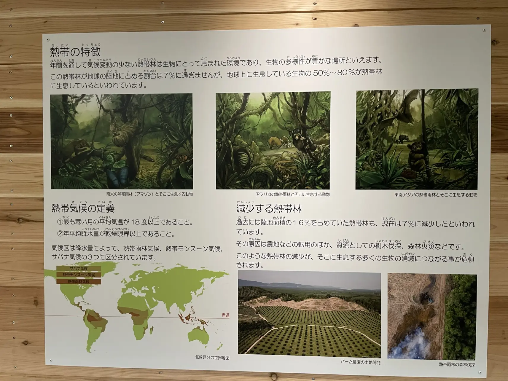 2022年9月にオープンしたばかりの「熱帯鳥類館バードピア」-7