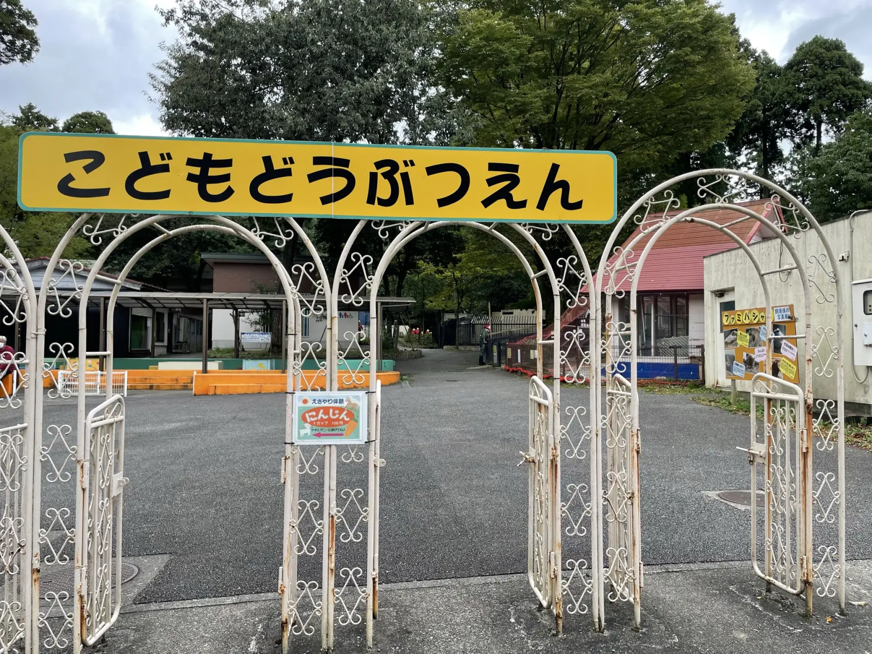 「こどもどうぶつえん」では餌やりも体験できる！-5