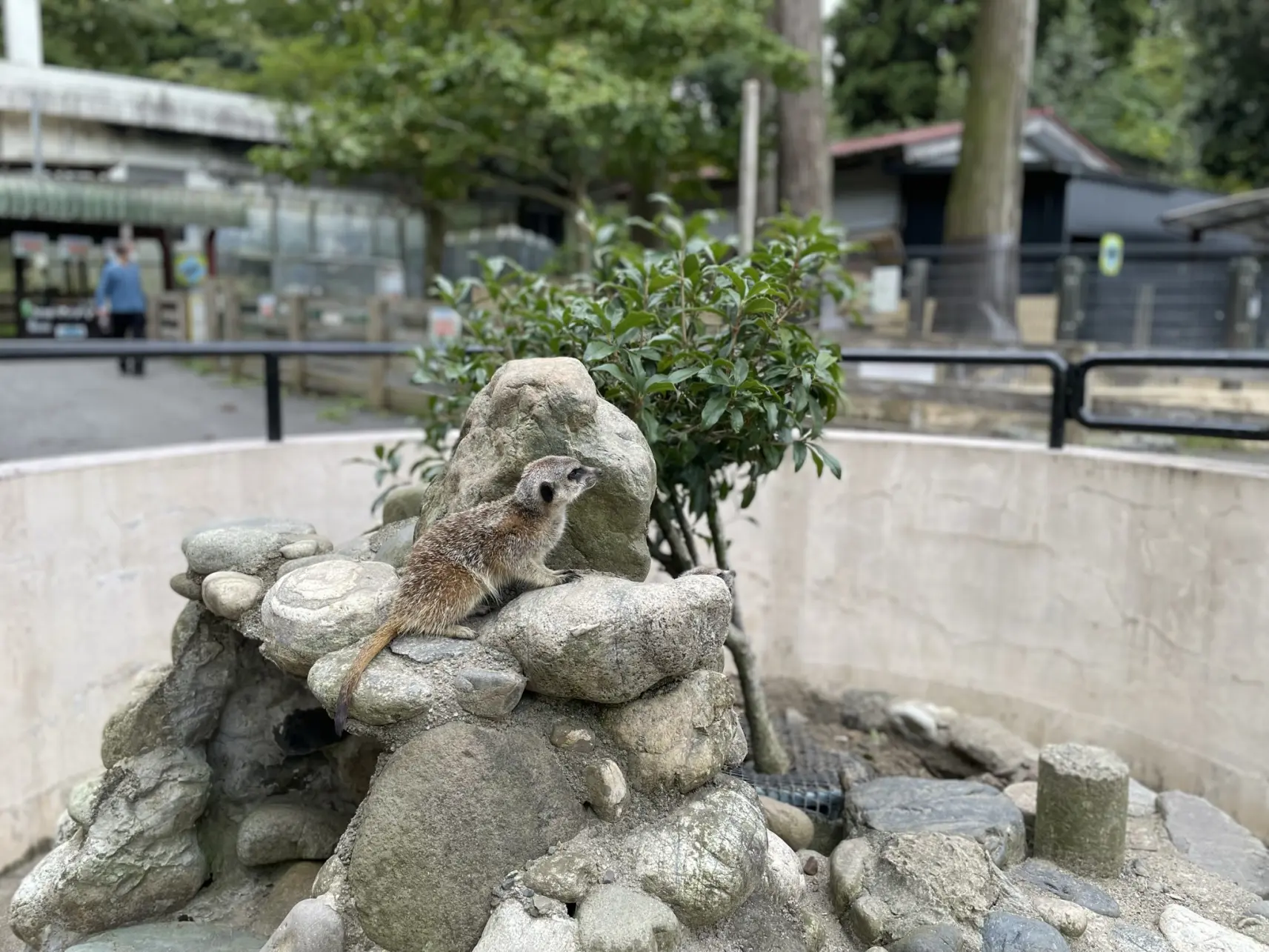 「こどもどうぶつえん」では餌やりも体験できる！-3