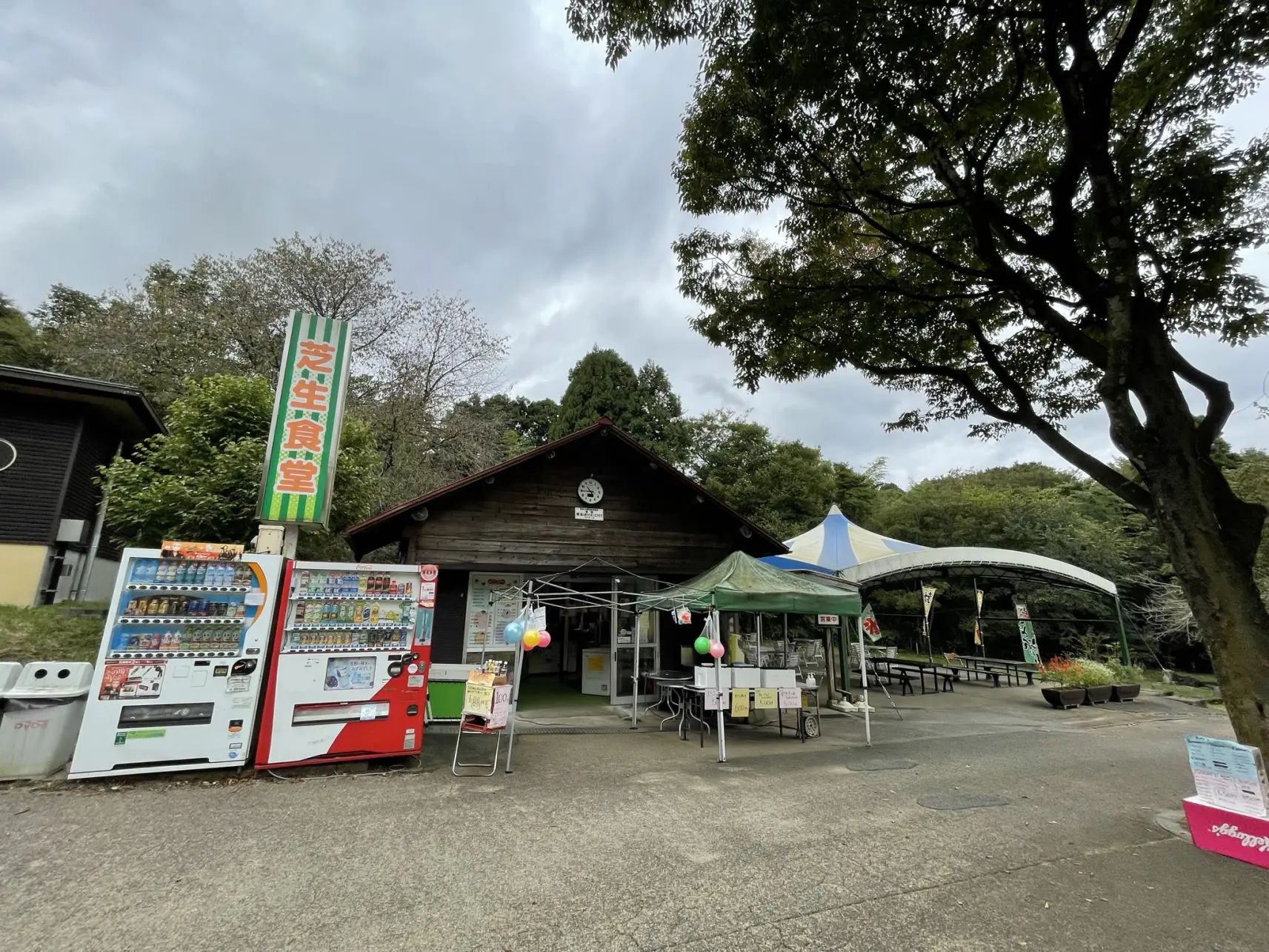 公園があり、芝生のうえで思う存分遊べる-1