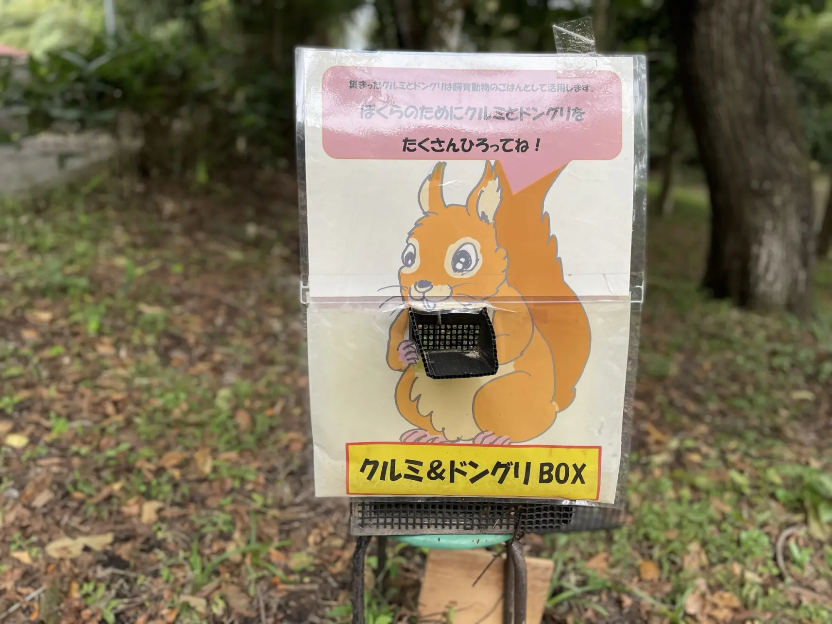 ウォーキングも楽しめる-3
