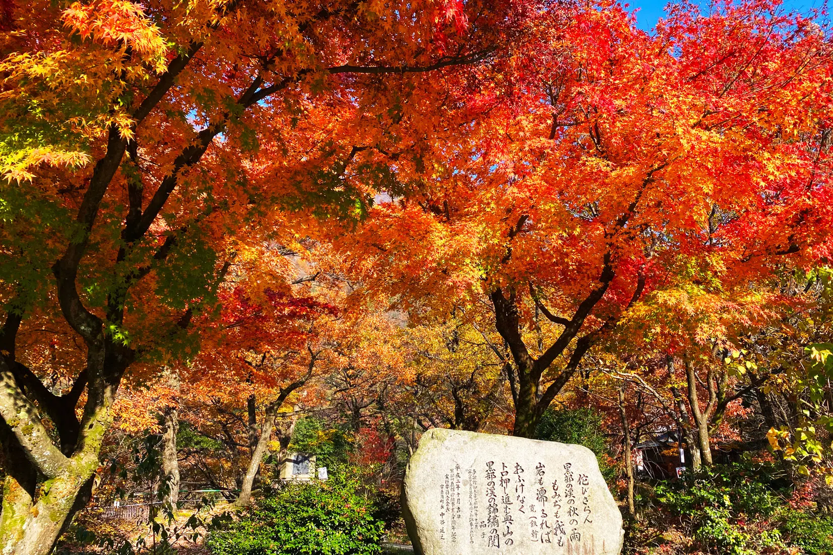 宇奈月温泉の紅葉スポット【３】宇奈月公園-0