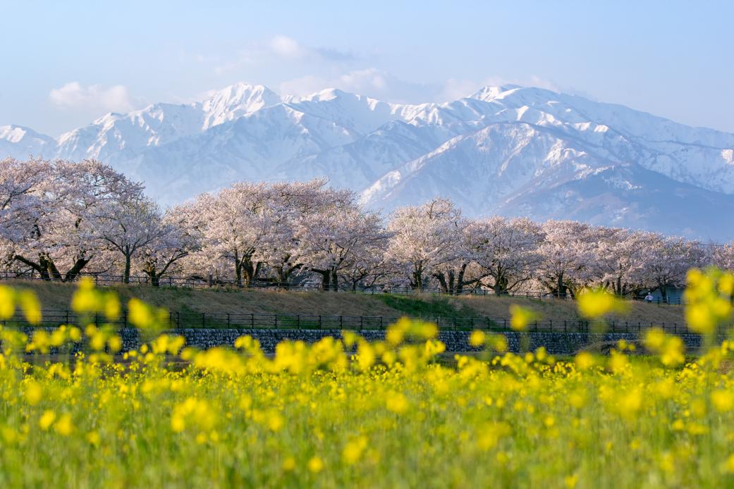 【富山の絶景】富山の美しい四季の見どころ | ふぉとやまライター | 【公式】富山県の観光/旅行サイト「とやま観光ナビ」