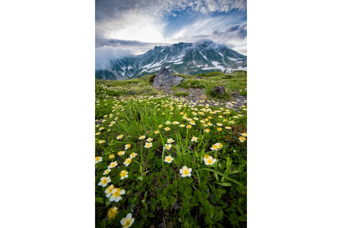 夏の風景①「立山・室堂（立山町）」-0