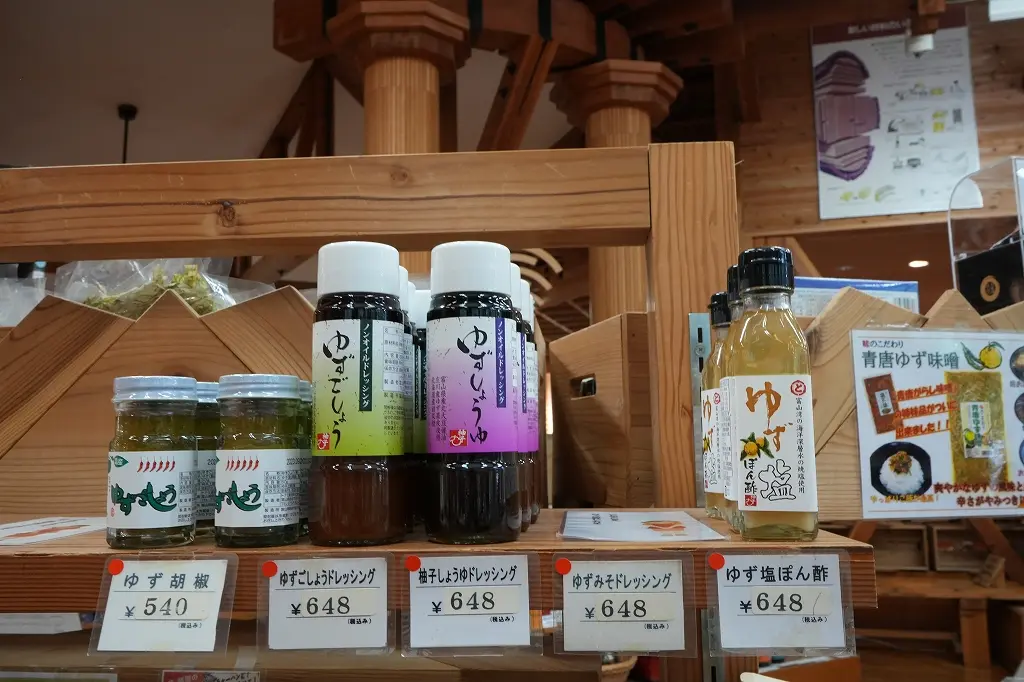 ８．立ち寄りスポット「庄川水記念公園」-3