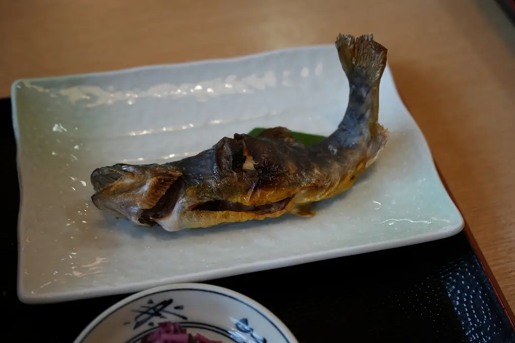 ９．「ふなとの里」では、鮎やイワナも味わえます！-1