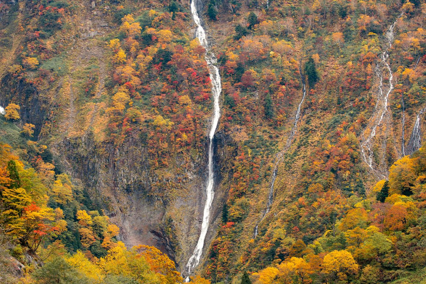 【富山の絶景】富山の美しい四季の見どころ | ふぉとやまライター | 【公式】富山県の観光/旅行サイト「とやま観光ナビ」