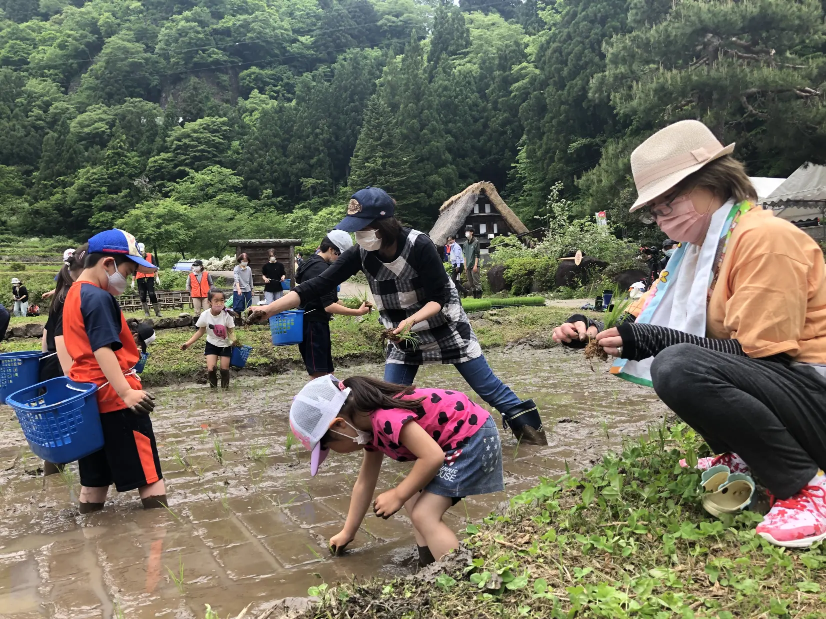 棚田オーナーイベント「田植え作業」-1