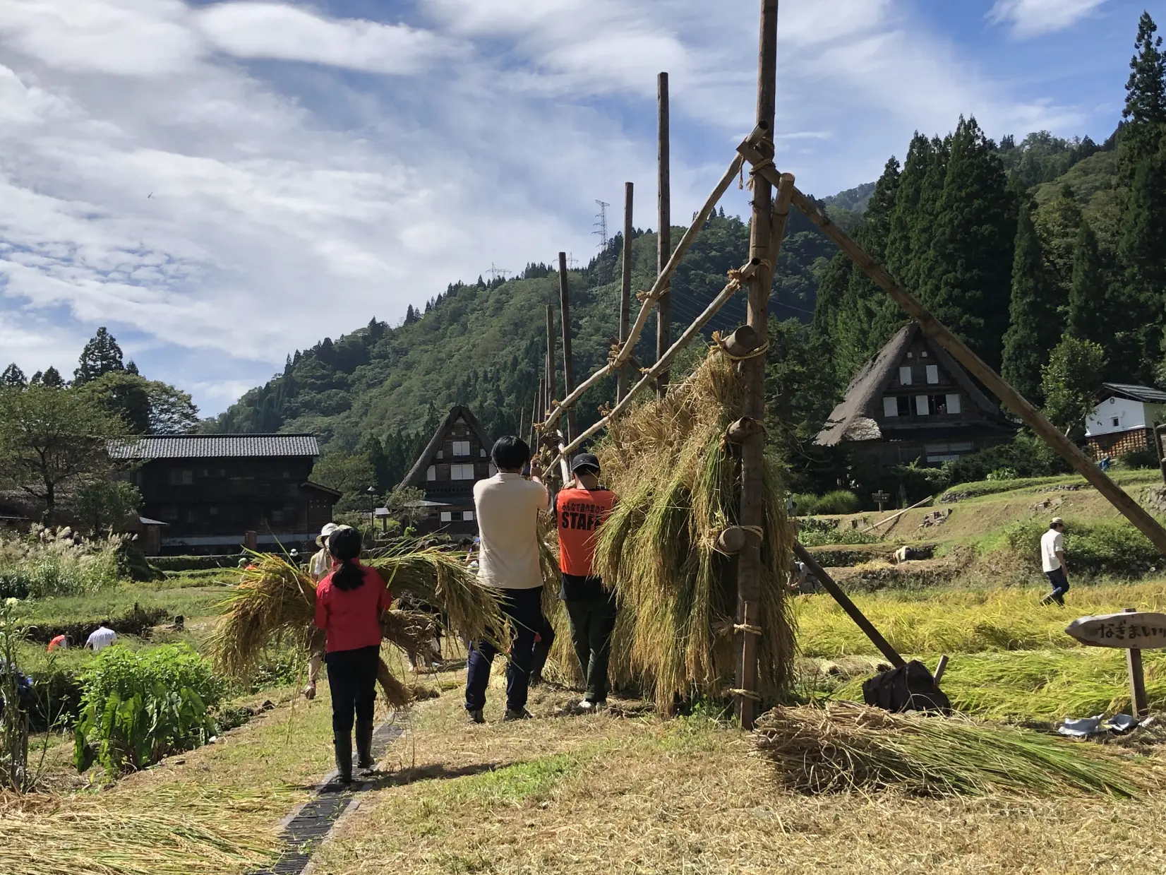 棚田オーナーイベント「稲刈り－稲穂ハサ掛け作業」-3