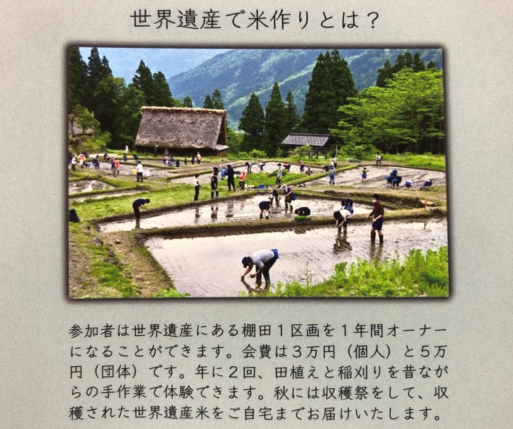 「みんなで農作業の日in五箇山」のお問い合わせ・お申込みについて-0