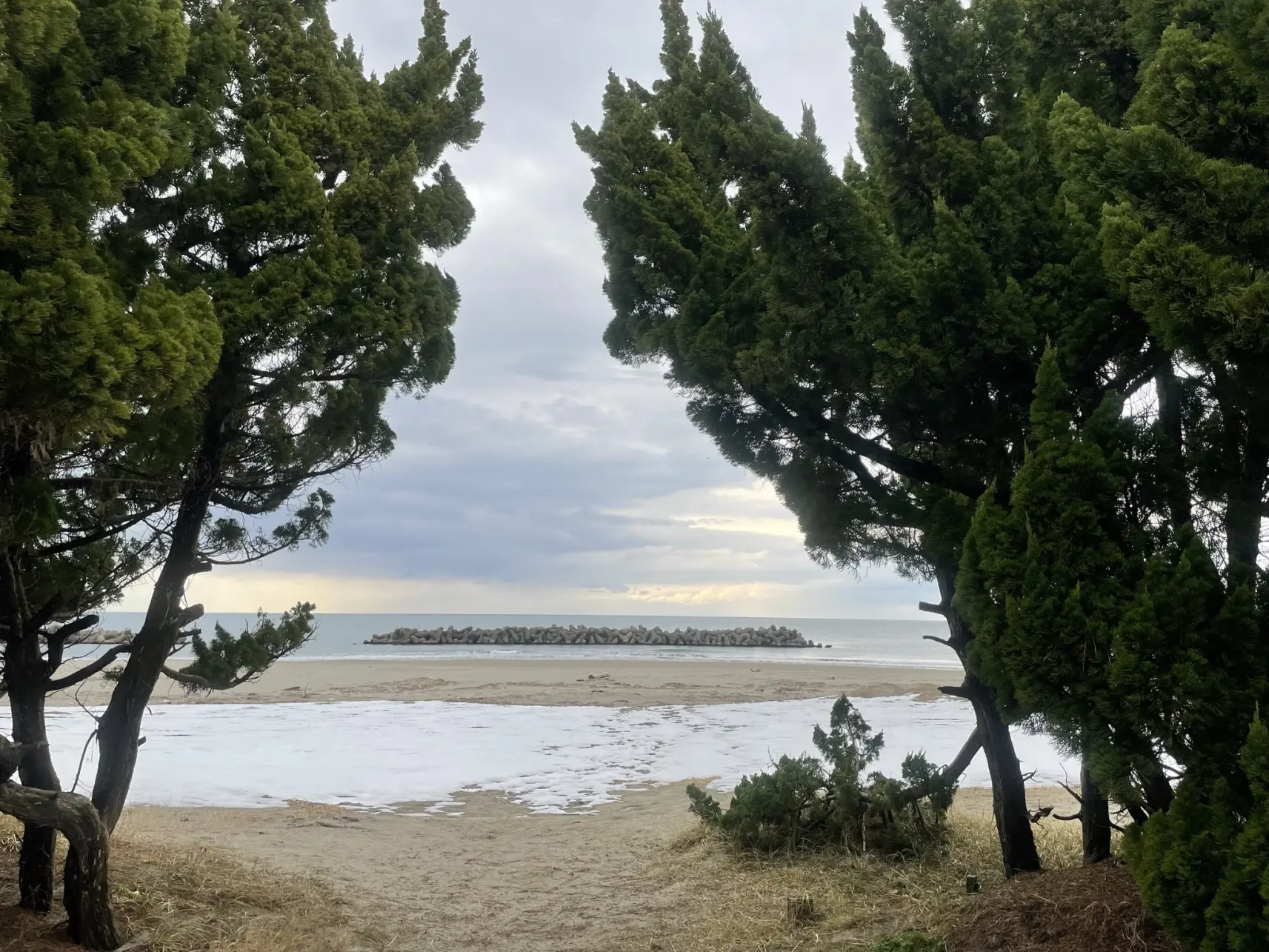 雪と海の組み合わせが幻想的！「岩瀬浜」周辺-4
